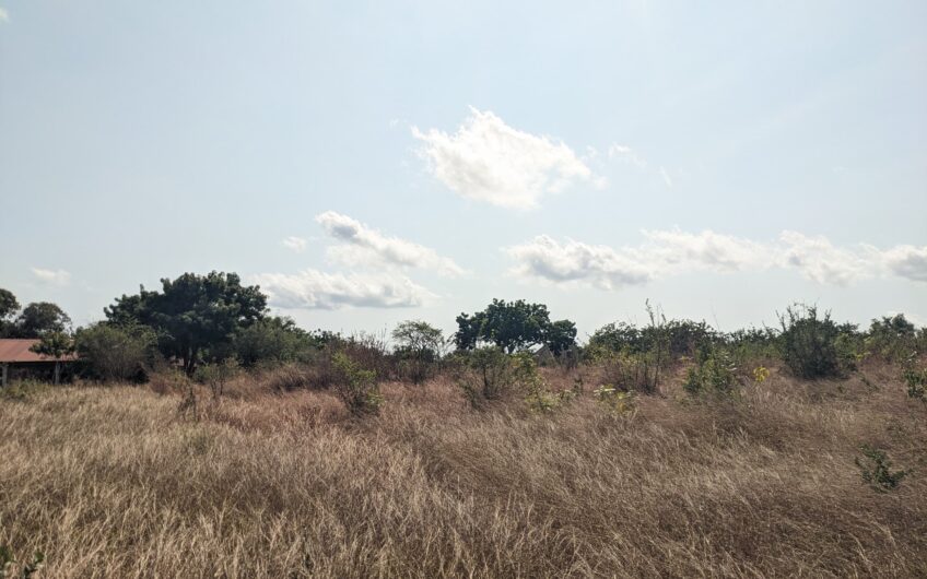 𝗢𝗖𝗘𝗔𝗡 𝗩𝗜𝗘𝗪 𝗖𝗢𝗥𝗡𝗘𝗥 𝗣𝗟𝗢𝗧 𝗙𝗢𝗥 𝗦𝗔𝗟𝗘 – 𝗦𝗛𝗔𝗡𝗚𝗔𝗡𝗜, 𝗠𝗧𝗪𝗔𝗥𝗔